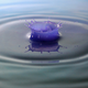 Illustration for article titled Shooting Challenge: Water Drop Gallery Part 2